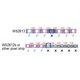 Світлодіодна стрічка RGB SMD5050, WS2813 (чорна, з управлінням, IP20, 5 В, 144 діодів/м, 1 м) Прев'ю 4